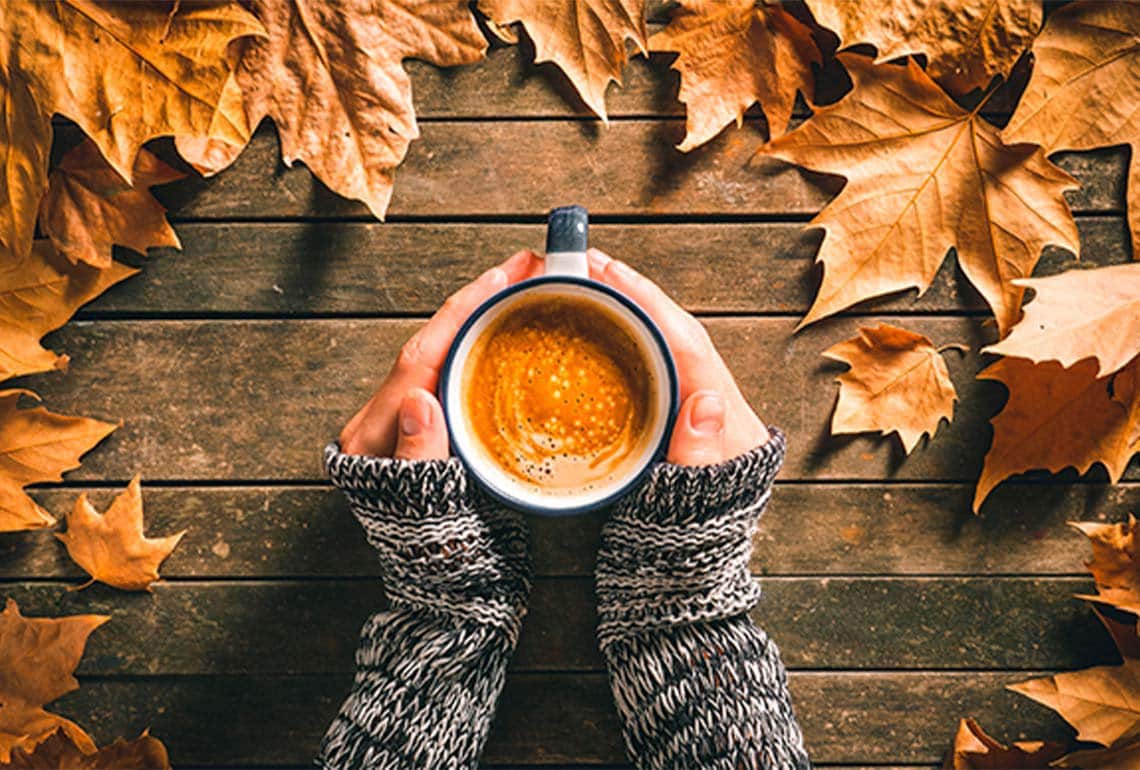 Cozy, warm drinks for a happy fall!