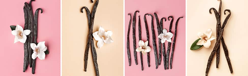 Vanilla, a Mexican treasure!